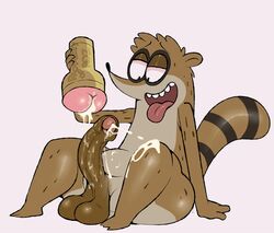 rigby (regular show) from cartoon network by eroborus