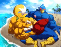 2020 anthro avian bastroceive beach bird bulge bulge_grab canid canine clothing crepuscular_rays duo falco_lombardi fox fox_mccloud genitals half-erect hi_res licking macro magangz male male_only mammal muscular muscular_male nintendo palm_tree penis sand sea seaside speedo star_fox swimwear tongue tongue_out video_games water