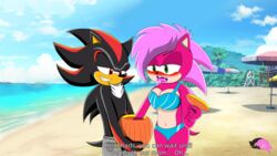 beach big_breasts black_fur dialogue hot_pants love pink_fur scene shadonia shadow_the_hedgehog sonia_the_hedgehog sonic_(series) sonic_underground