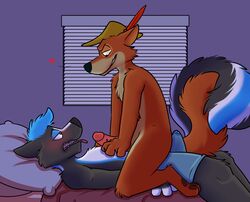 anthro bed black_body black_fur blinds blue_body blue_fur blue_hair blush bodily_fluids bottomwear brown_body brown_fur canid canine clothed clothing cum cum_through_clothing cum_through_underwear disney duo ears_back erection eye_contact fox fur furniture furry furry_only gay genital_fluids genitals glans hair half-closed_eyes hat headgear headwear heart hi_res humanoid_genitalia humanoid_penis inside looking_at_another lying male male/male male_only mammal mephitid mostly_nude narrowed_eyes on_back on_bed open_mouth penis pillow pink_tongue pivoted_ears robin_hood_(character) robin_hood_(disney) rotten_robbie shorts side_view skunk smile straddling teeth tenting tongue tongue_out topless underwear wet wet_clothing wet_underwear white_body white_fur yaoi