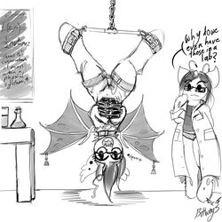 bat_pony beebee bondage bound changeling clothing cute eyewear female friendship_is_magic glasses glorious_buttwings gretchen my_little_pony panties pussy spreader_bar suspension underwear