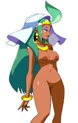 sequin land sultana from shantae