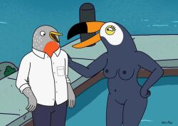 1boy 1girls avian bird clothed clothed_male_nude_female clothing edit female male naked netflix night nude pecker rooftop screencap screenshot screenshot_edit tagme tuca_and_bertie tuca_toucan