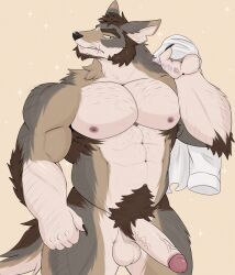 2023 5_fingers abs anthro arm_tuft artist_name balls beard biped black_nose brown_beard brown_body brown_eyebrows brown_facial_hair brown_fur brown_hair brown_pubes brown_tail canid canine canis claws clothing coyote digital_media_(artwork) echo_(series) echo_project elbow_tuft erection eyebrows facial_hair facial_scar fangs finger_claws fingers fur genitals glans glistening glistening_eyes glistening_genitalia glistening_glans glistening_penis grey_body grey_fur grey_tail hair half-closed_eyes hi_res holding_clothing holding_object holding_shirt holding_topwear humanoid_genitalia humanoid_penis isaacyote_(artist) male male_anthro male_only mammal multicolored_body multicolored_fur multicolored_tail muscular muscular_anthro muscular_male narrowed_eyes navel nipples notched_ear nude nude_anthro nude_male orange_body orange_fur orange_tail pecs penis pink_glans pink_nipples pubes scar shirt simple_background solo sparkles tail tan_balls tan_body tan_fur tan_penis teeth text the_smoke_room topwear tuft vein veiny_penis watermark william_adler