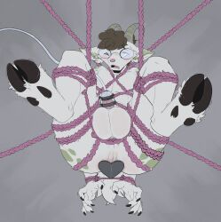 absurd_res anthro balls big_balls bondage bound bovid caprine eyewear furry furry_only garbage genitals glasses goat hi_res hooves male mammal penis_milking_machine plug_(sex_toy) redras_shoru restraints rope rope_bondage rope_harness sex_toy solo suspension william_gote