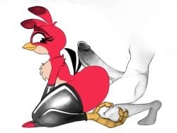 ruby (angry birds) from angry birds