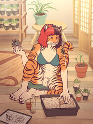 2020 3:4 4_toes 5_fingers animal_genitalia anthro balls black_stripes bottomless clothed clothing digital_media_(artwork) felid fingers fully_sheathed fur furry futanari genitals glopossum hi_res intersex mammal nonbinary orange_body orange_fur pantherine sheath sitting smile solo striped_body striped_fur stripes tiger toes trans_woman transfem