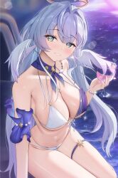 robin (honkai: star rail) from honkai (series) by night known