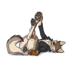 sage (niffthefox) fan art