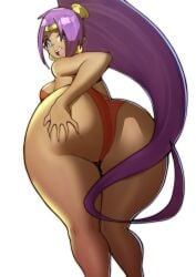 shantae (character) from shantae by doublehero