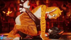 3d aak_(arknights) aak_(valorlynz) animated anthro anthro_on_anthro master_tigress tagme video wsuphapkun