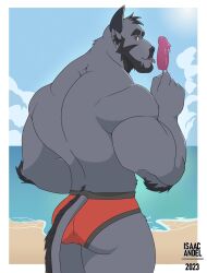 2023 absurd_res anthro artist_name ass bara beach beard biped bottomwear bovid bovine brown_eyes cattle clothed clothing cloud colored day ear_piercing ear_ring facial_hair fur furgonomic_bottomwear furgonomics grey_body grey_fur half-length_portrait head_turned hi_res isaac_andel licking looking_at_viewer looking_back male mammal muscular muscular_anthro muscular_arms muscular_male outside penis penis_popsicle piercing portrait rear_view ring_piercing sand sea shaded skimpy sky solo speedo speedo_only standing swimwear tail text tongue tongue_out topless topless_anthro topless_male water yaoi