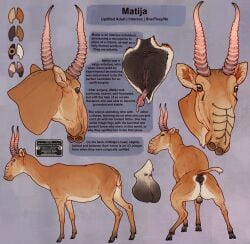 alternative_fashion anatomically_correct animal_genitalia antelope balls bovid feral futanari genitals hi_res intersex mammal micropenis model_sheet penis piercing punk pussy saiga sapient small_penis technesaurus uplifted vulva