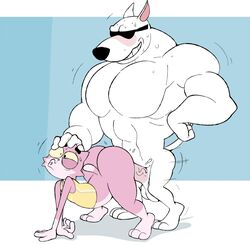 anal anthro arnold_the_pitbull ass big_muscles bottomless canid canine canis clothed clothing domestic_dog duo eroborus felid feline hand_on_head hi_res huge_muscles huge_pecs male male/male mammal muscular nude pit_bull roz size_difference