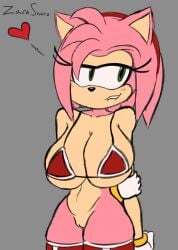 amy_rose big_breasts horny_female pussy sonic_(series) voluptuous_female zachshacz