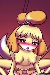 2020 animal_crossing animated anthro anthrofied blush blushing bouncing_breasts breasts brown_eyes closed_eyes dialogue dog_ears dog_tail dominant_female drooling female gif girl_on_top isabelle_(animal_crossing) lumineko nintendo nipples on_top pov pussy riding saliva sex sound sound_effects straddling submissive_male tagme tongue_out vaginal_penetration video yellow_fur