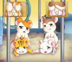 2boys 2girls anthro apinkgrape bijou_(hamtaro) feral_on_feral hairgrape hamham hamster hamtaro hamtaro_(series) holding_hands humanoid_penis maxwell_(hamtaro) sandy_(hamtaro) vaginal_penetration