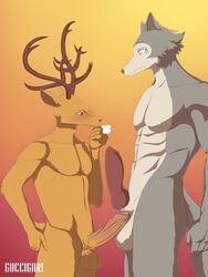 2020 3:4 abs absurd_res animal_genitalia animal_penis anthro antlers balls beastars big_penis blush canid canine canine_penis canis cervid cervine comparing comparing_penis duo erection genitals guccigarf hi_res horn humanoid_genitalia humanoid_penis knot legoshi_(beastars) louis_(beastars) male male/male male_only mammal nude penis red_deer size_difference wolf