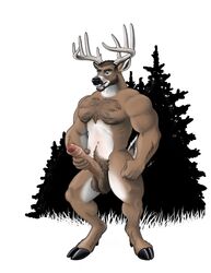 absurd_res anthro antlers big_penis burr capreoline cervid erection genitals hi_res hooves horn male male_only mammal masturbation muscular muscular_male pecs penile penile_masturbation penis pubes retracted_foreskin rjhjr solo uncut vein veiny_penis white-tailed_deer