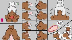 anal bear brown_fur furry furry_only grizzly_(wbb) ice_bear kakau221 no_humans we_bare_bears white_fur yaoi