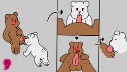 brown_fur furry furry_only grizzly_(wbb) ice_bear kakau221 we_bare_bears white_fur yaoi