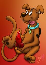 absurd_res animal_genitalia animal_penis balls bodily_fluids canid canine canine_penis canis collar domestic_dog dripping feral genital_fluids genitals hanna-barbera hi_res knot lobofeo male male_only mammal orange_background penis precum scooby-doo scooby-doo_(character) signature simple_background smile smirk solo testicles tongue tongue_out vein veiny_penis