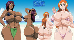 2girls ass beach big_ass big_breasts bleach dark-skinned_female greengiant2012 huge_ass huge_breasts inoue_orihime long_hair purple_hair shihouin_yoruichi wide_image