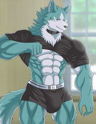 1boy anthro black_underwear blue_body blue_fur boxers_(clothing) brand_new_animal bulge canid canine canis clothing collar fur hi_res male male_only mammal muscular muscular_male shirou_ogami solo studio_trigger underwear white-snow-wolf wolf