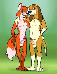 2boys anthro bassy_wolfeh bloodhound brown_body brown_fur canid canine canis copper_(fath) disney domestic_dog duo erection fox fur genitals hi_res humanoid_genitalia humanoid_penis hunting_dog male male/male male_only mammal orange_body orange_fur penis scent_hound smile testicles the_fox_and_the_hound tod_(fath)