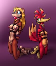 aged_up anthro arms_behind_back avian ball_gag banjo-kazooie bassy_wolfeh blonde_hair blue_eyes bondage bound breasts breegull duo eye_contact feet female femsub gag green_eyes hair hands_behind_back hi_res kazooie kneeling looking_at_another mammal multiple_girls multiple_subs nude rareware rope rope_bondage rope_harness smile talons tooty ursid video_games