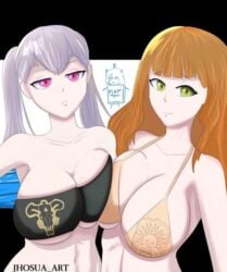 big_breasts black_bulls black_clover branding_mark female female_only golden_dawn green_eyes jhosua_art mimosa_vermillion multiple_girls noelle_silva orange_hair purple_eyes royalty secre_swallowtail silver_hair