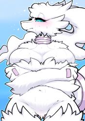 anthro big_breasts blue_eyes blue_sclera breasts cheek_tuft crossed_arms dragon facial_tuft female female_dragon female_pokemon fur furred_dragon generation_5_pokemon legendary_pokémon legendary_pokemon long_hair milkteafox nintendo pokémon_(species) pokemon pokemon_(species) reshiram sweat tuft white_body white_fur white_hair