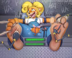 4_toes activision aliscik anthro bandicoot barefoot blonde_hair bodily_fluids bondage bound brush clothing coco_bandicoot crash_(series) english_text female foot_fetish foot_focus hair laugh long_hair machine mammal marsupial open_mouth ponytail pussy_tickling saliva sex_toy soles solo stocks sweat tears text tickle_torture tickling tickling_feet tickling_pussy timer toes torn_clothing url vibrator video_games