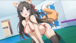 1girls ass black_hair blue_eyes blush breasts fox_ears fox_tail game_cg hair_ribbon large_breasts long_hair mieko_(sakura_swim_club) sakura_swim_club wanaca winged_cloud