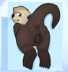 1anthro 1boy 1cuntboy 1furry absurd_res alternate_version_available animal_genitalia animal_pussy animal_vagina anthro anthro_male anthro_only anus anus artist_name artist_upload ass ass back_view backview belly_nipples blush blush brown_anus brown_body brown_eyes brown_eyes_male brown_fur brown_pussy completely_naked completely_naked_male completely_nude completely_nude_anthro completely_nude_male cuntboy cuntboy_only dark_brown_body dark_brown_fur dark_brown_nose digital_drawing_(artwork) digital_media_(artwork) ears_back ears_down embarrassed embarrassed_expression felixmcfurry flippers frown fully_naked_anthro fully_naked_male fully_nude fully_nude_anthro fully_nude_male fur fur_markings furry furry_male furry_only furry_solo genitalia genitals gradient_tail gritted_teeth highres long_tail long_whiskers looking_back looking_over_shoulder male male_anthro male_anus male_ass male_butt male_furry male_only markings_(fur) mustelid musteline naked nipples no-human no_human no_humans nude only_furry only_male original original_character otter pink_nipples png pussy sea_otter self_upload shading shoulders simple_background small_ears solan_(felixmcfurry) solo solo_anthro solo_cuntboy solo_furry solo_male stomach_nipples tail transgender_male vagina whiskers white_face white_whiskers