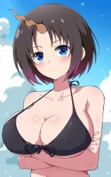1girls absurdres bare_arms bare_shoulders bikini black_bikini black_hair blue_eyes blue_sky blush breasts cleavage cloud collarbone crossed_arms dragon_girl dragon_horns eggman_(ni_tamagoex) eggman_(pixiv28975023) elma_(maidragon) flying_sweatdrops gradient_hair highres horns kobayashi-san_chi_no_maidragon large_breasts looking_at_viewer multicolored_hair open_mouth outdoors purple_hair short_hair single_horn sky solo swimsuit two-tone_hair underboob upper_body