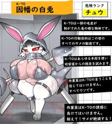 amputee areola belly big_breasts blush bone bra breasts clothing death disability female fish fur hi_res japanese_text knife lagomorph leporid mammal marine melee_weapon mg0rx missing_leg navel nude rabbit red_eyes scar shark shark_hoodie slightly_chubby slightly_chubby_female sword text translation_request unavailable_at_source underwear weapon white_body white_fur
