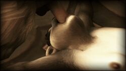 3d 3d_(artwork) animated animated_image anthro anthro_on_anthro balls bear bear_ears black_fur black_nipples blowjob breasts double_team face_fucking furry humanoid_genitalia humanoid_penis irrumatio liu_flameheart lying mists_of_pandaria nipples nude oral oral_penetration oral_sex panda pandaren penis rexxcraft sex testicles warcraft wet_penis white_fur world_of_warcraft yaungol