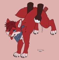 blue_eyes blue_kerchief blue_neckerchief bodily_fluids canid canine cum cum_string disembodied_hand disembodied_penis duo feral feral_penetrated fur genital_fluids genitals hair hi_res kerchief looking_pleasured male male/male male_penetrated male_penetrating male_penetrating_male mammal martinballamore neckerchief neckwear open_mouth penetration penis pink_background red_body red_fur red_hair red_tongue semi-anthro sex short_hair side_view simple_background solo_focus tongue tongue_out white_body white_fur