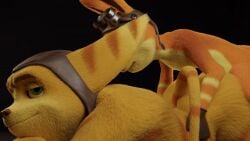 2025 2boys 3d akimazanhu anal animated ass black_background crossover daxter fingerless_gloves gay goggles green_eyes jak_and_daxter male male_only no-name-no-problem_(3d_model) ratchet_(ratchet_and_clank) ratchet_and_clank simple_background size_difference video_games yaoi