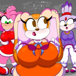 amy rose from sonic (series) by 3barts