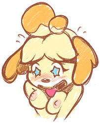 animal_crossing animal_humanoid anthro blue_eyes breasts cute female fur furry inkasylum inkstash isabelle_(animal_crossing) nintendo shrinking_breasts smile solo