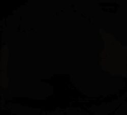 1_minute_long 1boy abs animal_genitalia animal_penis animated anthro anthro_penetrated anthro_penetrating anthro_penetrating_anthro anus artist_name ass ass_shake ass_slap assjob backboob background big_ass big_breasts big_butt big_penis black_screen_roulette black_text blank_thumbnail bodily_fluids bovid breasts bubble_butt buttjob caprine chubby cinderdryadva continuous_ejaculation cum cum_in_pussy cum_inside dark_skin digital_art digital_media dreamy_pride duo earthquake equine_penis excessive_cum faceless_male fat_ass female female_on_top female_penetrated frame_by_frame freckles freckles_on_ass furry genital_fluids genitals gif gigantic_breasts girl_on_top hanging_breasts heavy heavy_ass horsecock hot_dogging huge_ass huge_breasts huge_butt huge_cock huge_filesize hyper_penis interspecies large_ass large_breasts large_penis larger_female livia_(dreamy_pride) looking_at_viewer looking_back looking_back_at_viewer looking_pleasured male male/female male_penetrating male_penetrating_female mammal massive_ass massive_breasts mature_female milf naked naked_female naked_male navel nude nude_female nude_male on_bottom on_top penetration penile penile_penetration penis penis_in_pussy pull_out pussy reverse_cowgirl_position riding riding_penis sex shadyvox sheep sheep_ears sheep_girl short_playtime size_difference straight tan_skin text thick_ass thick_thighs vagina vaginal_penetration vaginal_sex voluptuous voluptuous_female