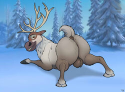 2020 antlers anus ass ass_up balls big_butt black_eyebrows black_hooves blue_sky brown_eyes capreoline cervid day detailed_background digital_media_(artwork) disney eyebrows feral forest frozen_(film) fur genitals grey_anus grey_balls grey_body grey_fur grey_horn grey_tail grin hi_res hooves horn large_ass looking_at_viewer looking_back male male_only mammal mcfan outdoors presenting presenting_hindquarters quadruped rear_view reindeer seductive sky smile snow solo sven_(frozen) teeth testicles tree