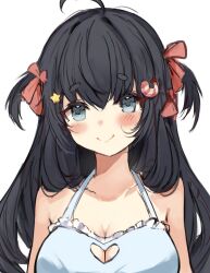 black_hair blue_eyes breasts female lilnoot_(vtuber) penguin_girl short_hair virtual_youtuber