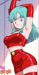 bra (dragon ball) from dragon ball by taozaru