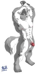 2020 5_fingers abs absurd_res anthro biceps big_muscles big_penis black_nose black_pawpads canid canine canis fingers fur genitals glans grey_body grey_eyes grey_fur half-erect hands_above_head hi_res humanoid_hands looking_at_viewer male male_only mammal multicolored_body multicolored_fur muscular muscular_male nude pawpads pecs penis plantigrade quads red_glans solo standing subaru_aotk thick_penis triceps two_tone_body two_tone_fur vein veiny_penis white_body white_fur white_penis wolf