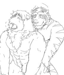 2011 anthro barazoku blush closed_eyes duo felid kemono lion male male/male mammal muscular nipples pantherine sex simple_background tiger train_(artist) white_background