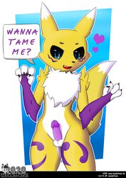 2020 anthro canid canine digimon digimon_(species) digital_media_(artwork) english_text erection fluffy fluffy_tail fox fur genitals heart hi_res male male_only mammal nude penis renamon solo speech_bubble text wunderhase