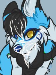 anthro anthro_only bad_edit blue_fur clothing colored covered_in_cum cum cum_in_mouth cum_on_face cumshot edit female female_only folf fox francis_fox fur furry furry_only line_art no_humans popufur stormi_folf wolf yiff youtube youtuber